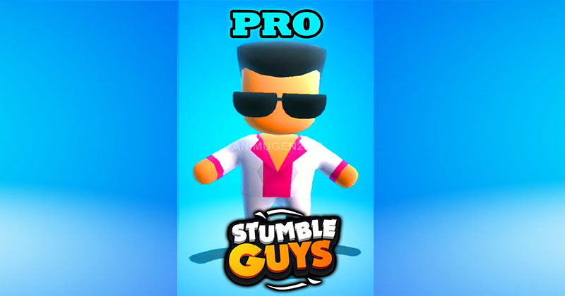 Noob, Pro and Hacker gameplay on Stumble Guys Multiplayer ...
